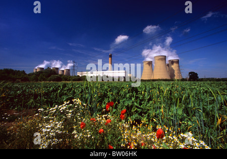 wild flowers growing in field by drax coal powered power station drax yorkshire uk Stock Photo