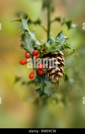 A Festive branch of Holly and red  winter berries with a pine cone Stock Photo