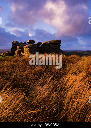 Combestone Tor In Dartmoor National Park, Devon, England, UK Stock ...