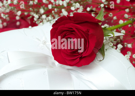 Red rose with baby's breath on white ring bearer's pillow. Stock Photo