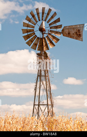 American windmill/windpump and corn/maize field, near Viroqua ...