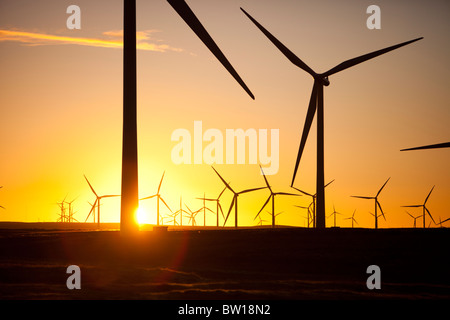 Dawn over Whitelee wind farm on Eaglesham Moor just south of Glasgow in Scotland, UK, is Europe's largest onshore wind farm. Stock Photo