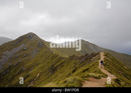 A hiker on the alpine section of the Kepler Track in Fiordland National Park, New Zealand. Stock Photo