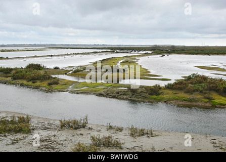 Bolsa Chica Ecological Reserve Wetlands. Stock Photo