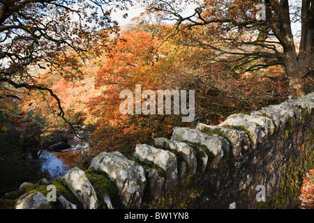 Capel Curig, Conwy, North Wales, UK. Stone wall on bridge over Afon Llugwy River with trees in autumn colours in Snowdonia Stock Photo