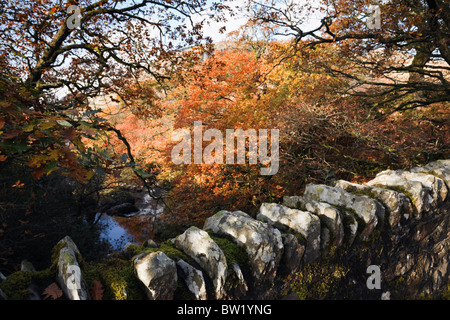 Capel Curig, Conwy, North Wales, UK. Stone wall on bridge over Afon Llugwy River with trees in autumn colours in Snowdonia Stock Photo