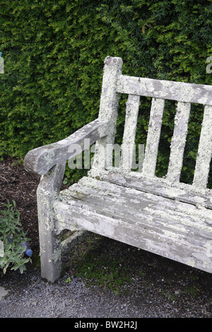 Wooden memorial garden seat or bench with evergreen trees 