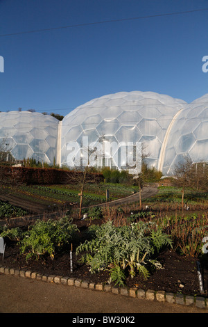 Asparagus bed Exterior view of the Eden Project Biomes Cornish gardens St Austell Cornwall UK Autumn to Winter Stock Photo