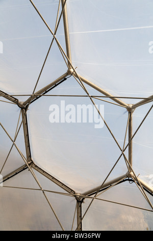 Interior of Mediterranean Biome Eden Project Cornwall UK Close up of dome structure Stock Photo