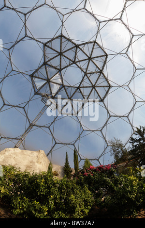 Interior of Mediterranean Biome Eden Project Cornwall UK fisheye lens wide angle view Stock Photo