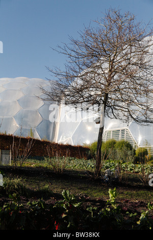 Exterior view of the Eden Project Biomes Cornish gardens St Austell Cornwall UK Autumn to Winter Stock Photo