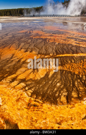 Yellowstone's gorgeous and colorful Grand Prismatic Spring Stock Photo