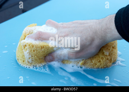 mans hand holding yellow sponge filled with suds sitting on a car bonnet Stock Photo