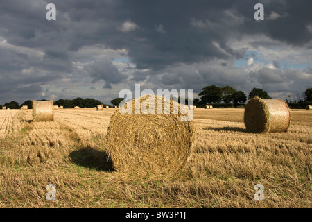 straw bales in Norfolk
