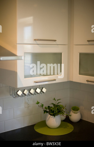 Cabinet and spice rack of modern kitchen Stock Photo