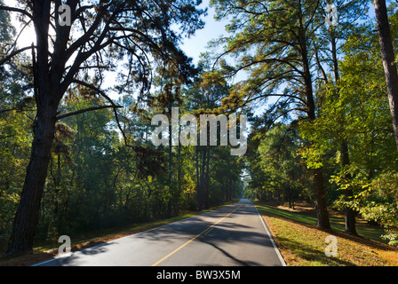 The Natchez Trace Parkway between Lorman and Natchez, Mississippi, USA Stock Photo