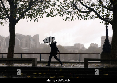 A rainy day in London, Britain. A man rushes along under her umbrella during heavy rain storm along the embankment, central Lon Stock Photo