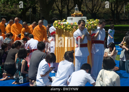 Thai Buddhist alms-giving ceremony in Belrose Park, Sydney, Australia Stock Photo