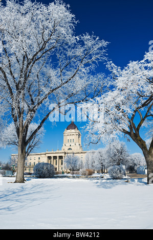 Hoarfrost with Manitoba Legislative Building in the background, Winnipeg, Manitoba, Canada Stock Photo