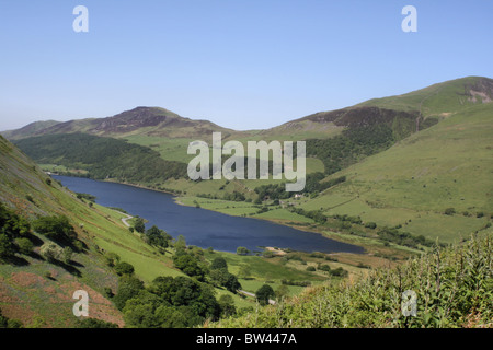 Tal Y Llyn Lake view from Mynydd Dol Ffanog near Corris Stock Photo - Alamy