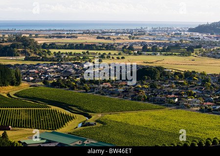 Houses,Mission Estate Winery, Napier, Bay ,Views from Sugar Loaf Hill, Tironui Drive,Taradale,Napier,New Zealand Stock Photo