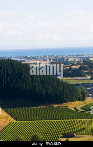 Houses,Mission Estate Winery, Napier, Bay ,Views from Sugar Loaf Hill, Tironui Drive,Taradale,Napier,New Zealand Stock Photo