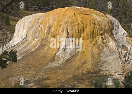 Orange Spring Mound Mammoth Hot Springs Yellowstone Stock Photo
