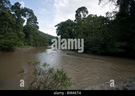 A view of the Segama river near the Danum Valley field center in the Danum Valley Conservation Area, in Sabah, Borneo, Malaysia. Stock Photo