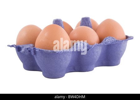 brown hens eggs in blue egg carton, isolated on white background Stock Photo
