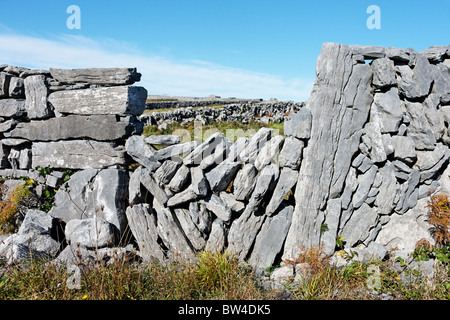Stone gate and dry stone wall on Inis Meain, Aran Islands, County Galway, Connaught, Ireland. Stock Photo