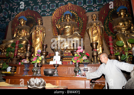 Buddhist monk and statues, Shaolin Temple, birthplace of Kung Fu, Song Shan, near Zhengzhou, Henan Province, Dengfeng, China Stock Photo