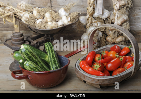 Freshly harvested garden produce Stock Photo