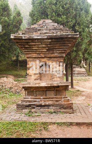 Pagoda in the Pagoda Forest cemetery, Shaolin Temple, Song Shan, near Zhengzhou, Henan Province, Dengfeng, China Stock Photo