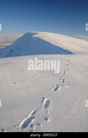 Footprints in the snow on Helvellyn in  the English Lake District