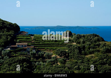 Giannutri island and Monte Argentario, Tuscany, Italy