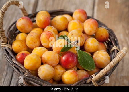 basket-full-of-small-yellow-