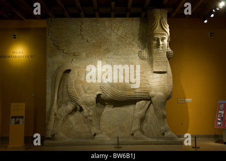 Human-headed winged bull (Lamassu) from Khorsabad, Oriental Institute, University of Chicago's archeology museum Stock Photo