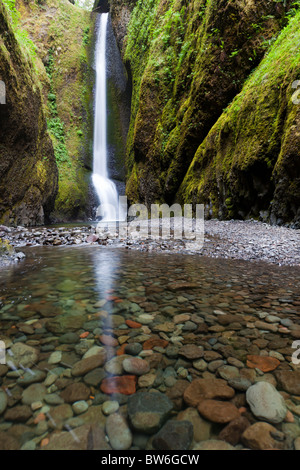 Lower Oneonta Falls and Oneonta Gorge, Oregon USA Stock Photo