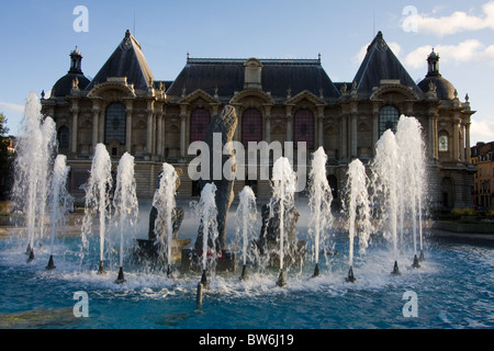 Palais des Beaux Arts in Lille, museum of Fine Arts Stock Photo