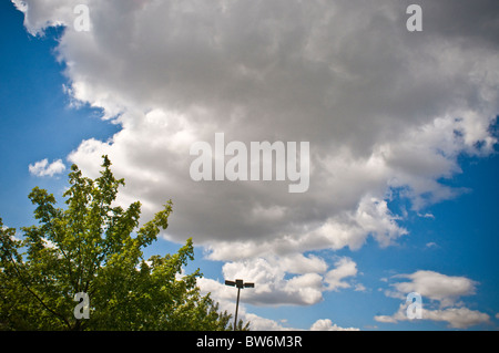 Large white clouds, blue sky Stock Photo