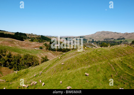 Te Mata Peek,Tukituki Valley,River,Te Mata Rd,Rolling Hills of Kaokaoroa, Raukawa Ranges,Hawke's Bay,Havelock North,New Zealand