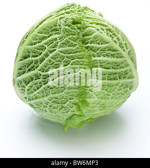 Photo of fresh cabbage on a white background Stock Photo