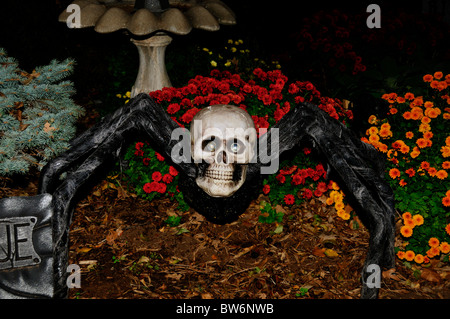 A large scary artificial spider with a skeleton head or skull crouches in the yard of a home decorated for Halloween in Oklahoma, USA. Stock Photo