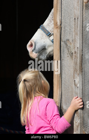 Stock photo of small young blonde girl looking up at white horse at the barn door, four years old. Stock Photo
