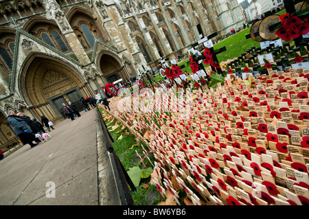 Remembrance Sunday. People pay their respects to the forest of crosses in front of Westminster Abbey, London. Stock Photo