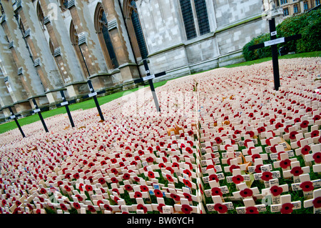 Remembrance Sunday. People pay their respects to the forest of crosses in front of Westminster Abbey, London. Stock Photo