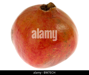whole Pomegranate on white background Stock Photo