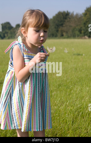 Little girl blowing on a dandelion clock in a field Stock Photo