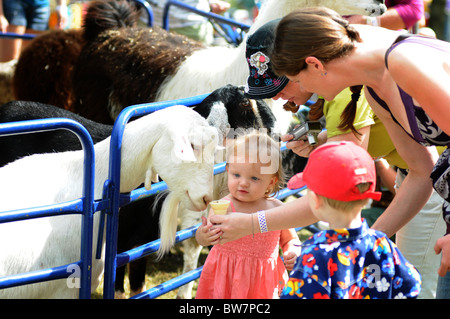 children feeding goats at a petting zoo at an agricultural fall fair Stock Photo