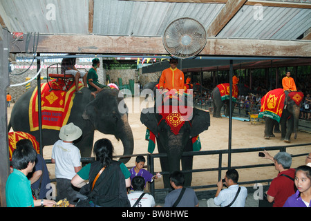 Tourists watching the elephant show at Nong Nooch Botanical & Tropical Garden, Pattaya, Thailand, October 2010 Stock Photo